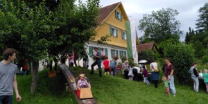 Mohnblumen24